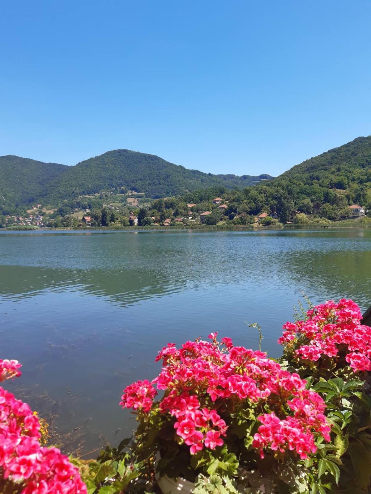 Vila Oaza - Zvornicko Jezero Зворник Экстерьер фото